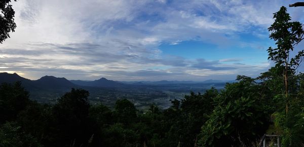 Scenic view of forest against sky