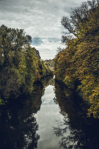 Reflection of trees in forest against sky during autumn