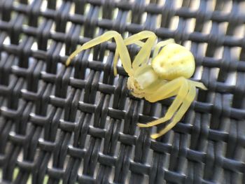 Close-up of metal chain