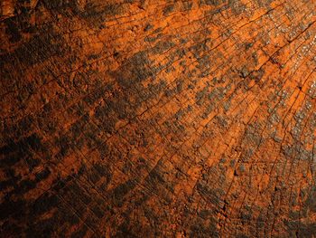 Close -up old wood with patterns and textures 