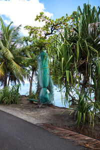 Statue amidst palm trees against sky