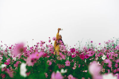 Woman using a mobile phone outdoors