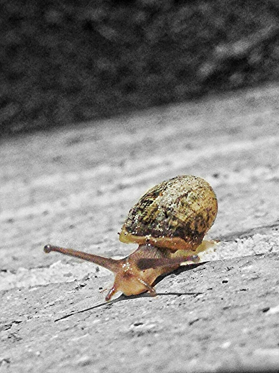 Moving at the speed of snail