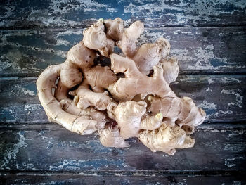 Close-up of mushrooms on wooden table