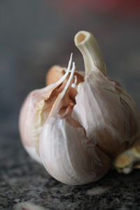 Close-up of garlic