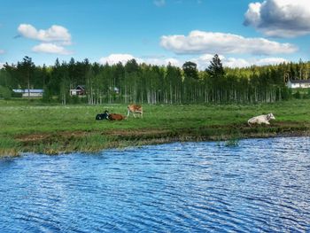 Scenic view of lake against sky