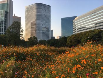 Modern buildings against clear sky