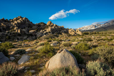 Small puff of white cloud in blue sky above rocky mountain meadow with distant snowy peaks