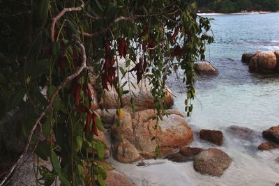 Rocks on beach