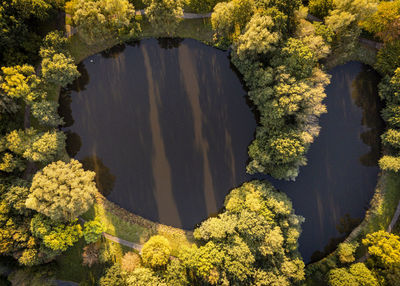 Aerial view of lake and trees 