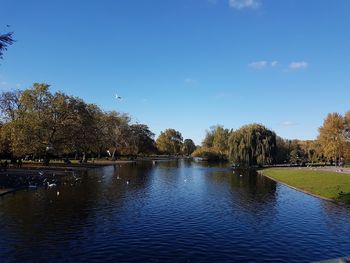 Scenic view of river against clear blue sky