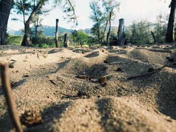 Close-up of sand on beach against sky