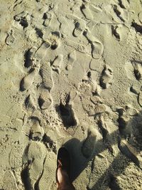 Low section of person on sand at beach