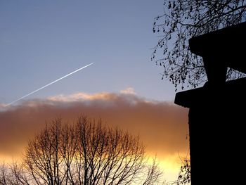 Low angle view of silhouette tree against sky