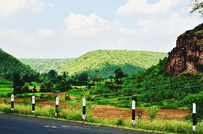 Trees on landscape against sky