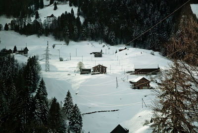 Scenic view of snow covered land and trees during winter