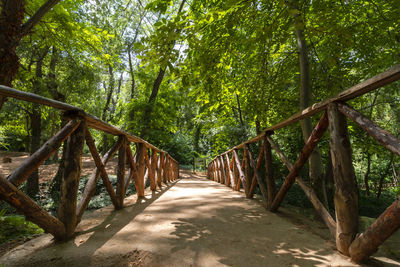 Footbridge amidst trees in forest