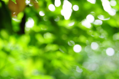 Defocused image of illuminated lights