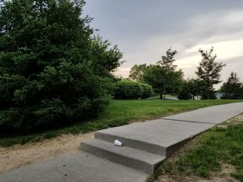 Trees and grass against sky