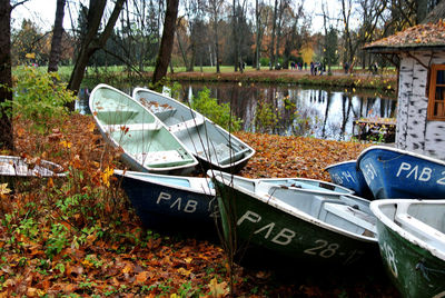 Abandoned car by autumn trees