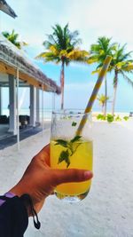 Cropped image of hand holding drink at tropical beach