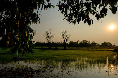 Scenic view of lake against sky during sunset