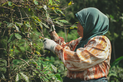 Working on tree in forest