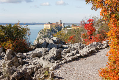 Plants growing on rocks by sea against sky during autumn