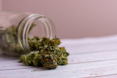 Close-up of plant growing in jar on table