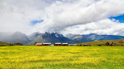 Scenic view of field against sky