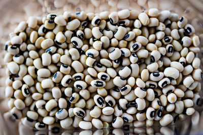 High angle view of eggs in container