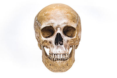 Close-up of human skull against white background