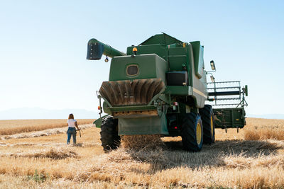 Back view of unrecognizable female farmer walking along wheat field with huge combine harvester