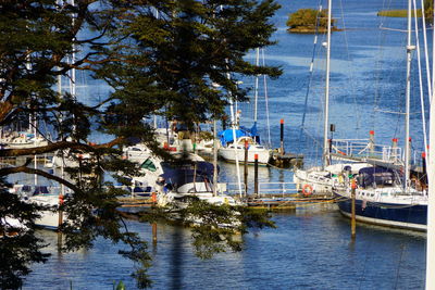 Sailboats moored in river against sky