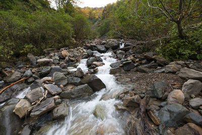 Stream flowing through rocks in forest