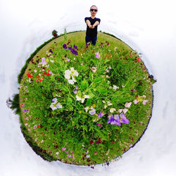 Digital composite image of woman standing by flowering plants