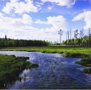 Scenic view of river against sky