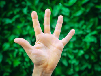 Close-up of human hand