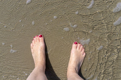 Low section of woman standing at beach