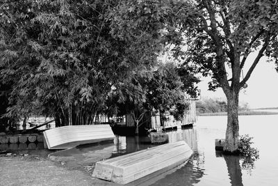 Calm lake with trees in background