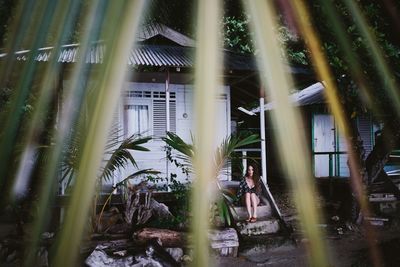 View of bamboo through trees in city