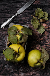 High angle view of fruits on table