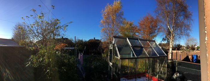 Panoramic view of trees against clear sky