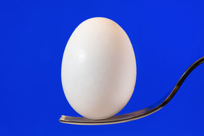 Close-up of egg against blue background