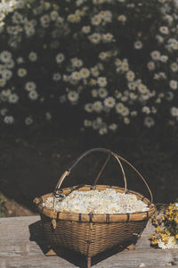 Close-up of basket on table