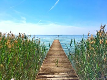 Scenic view of sea against blue sky