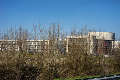 Plants growing on field against buildings