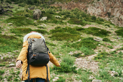 Rear view of man looking at mountain