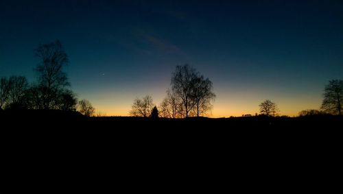 Silhouette of trees at sunset