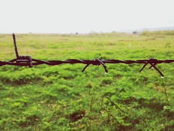 Close-up of chainlink fence on field